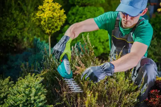 landscaping services New City